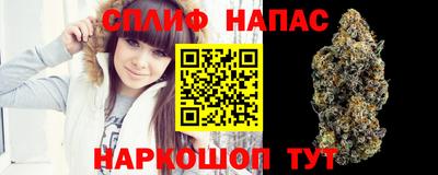 индика Нарткала