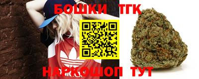 индика Нарткала