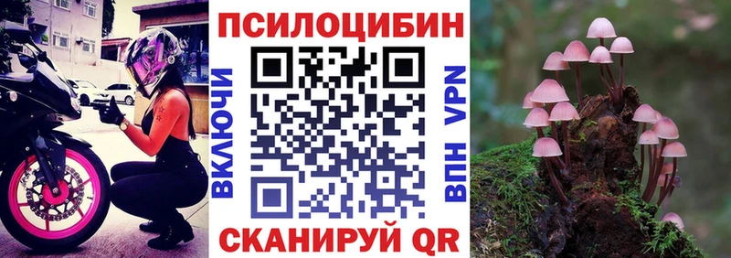 где можно купить наркотик  кракен ссылки  мориарти телеграм  Сургут  Галлюциногенные грибы мицелий 