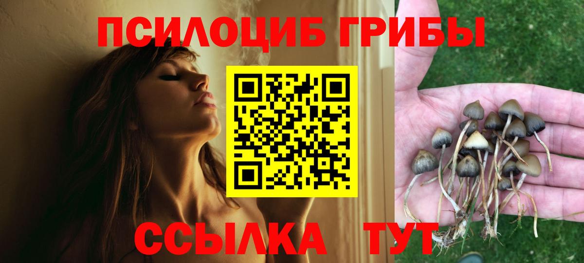 Псилоцибиновые грибы Psilocybe  Вход с VPN  Сургут  Псилоцибиновые грибы MAGIC MUSHROOMS 